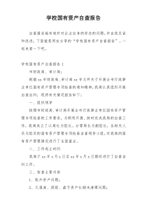 学校国有资产自查报告
