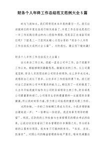财务个人年终工作总结范文范例大全5篇