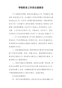 学校财务工作的自查报告