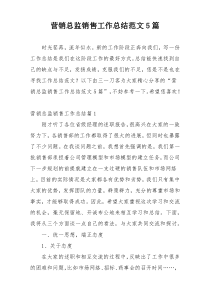 营销总监销售工作总结范文5篇