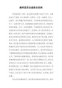 教师团员自查报告范例