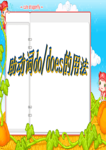 06小学英语语法do.does的法