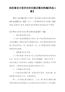 组织建设方面存在的问题及整改措施【热选4篇】