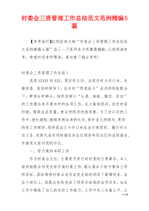 村委会三资管理工作总结范文范例精编5篇