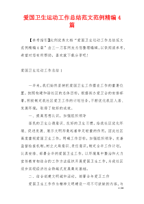 爱国卫生运动工作总结范文范例精编4篇