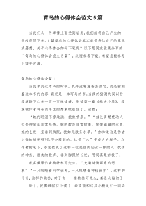 青鸟的心得体会范文5篇