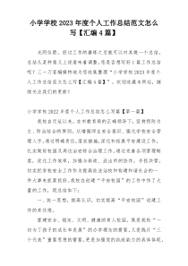 小学学校2023年度个人工作总结范文怎么写【汇编4篇】