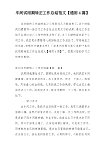 车间试用期转正工作总结范文【通用4篇】
