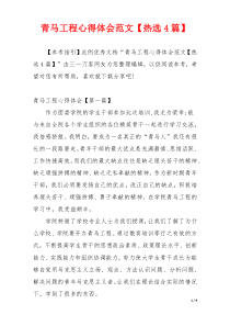 青马工程心得体会范文【热选4篇】