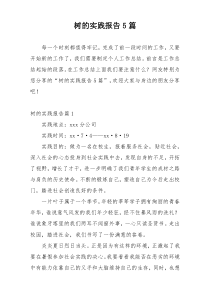 树的实践报告5篇