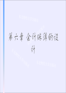 第六章会计账簿的设计