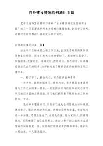 自身建设情况范例通用5篇