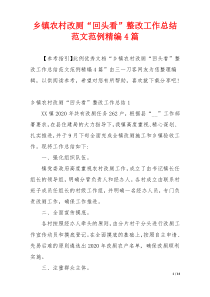 乡镇农村改厕“回头看”整改工作总结范文范例精编4篇