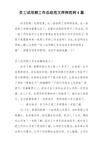员工试用期工作总结范文样例范例4篇