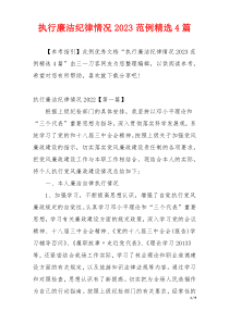 执行廉洁纪律情况2023范例精选4篇