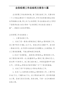 业务经理工作总结范文报告5篇