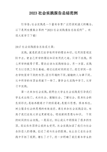 2023社会实践报告总结范例