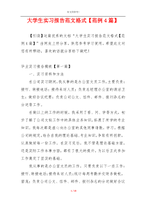 大学生实习报告范文格式【范例4篇】