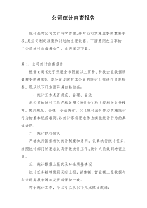 公司统计自查报告