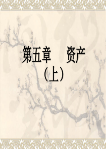 财务会计课件 第04章 资产(上)