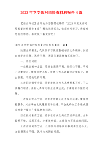 2023年党支部对照检查材料报告4篇