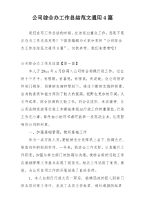 公司综合办工作总结范文通用4篇