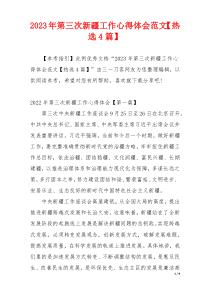 2023年第三次新疆工作心得体会范文【热选4篇】