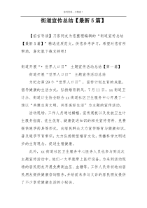 街道宣传总结【最新5篇】