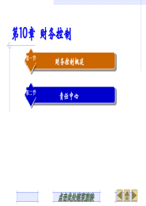 第10章财务控制