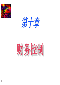第十章财务控制