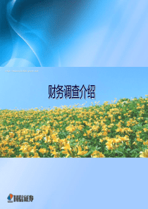 4新三板培训课件财务调查介绍