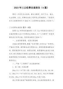 2023年三公经费自查报告（4篇）