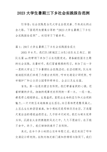 2023大学生暑期三下乡社会实践报告范例