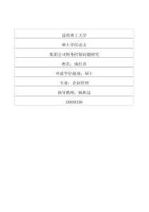 集团公司财务控制问题研究