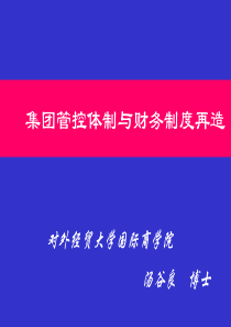 集团财务管控