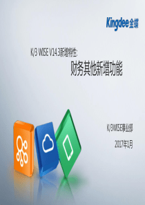 K3WISEV143新增特性培训_财务其他新增功能