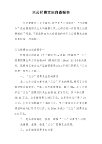 三公经费支出自查报告