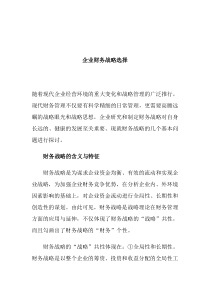 企业财务战略选择(doc4)