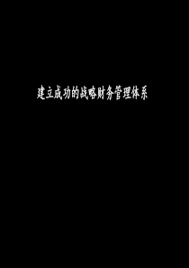 建立成功的战略财务管理体系