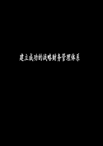 战略财务管理体系