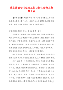 涉车涉酒专项整治工作心得体会范文集聚4篇