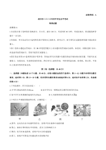 2020年中考物理试题（word版，含答案）