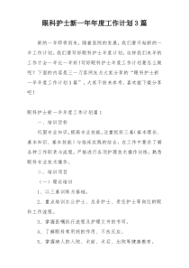 眼科护士新一年年度工作计划3篇