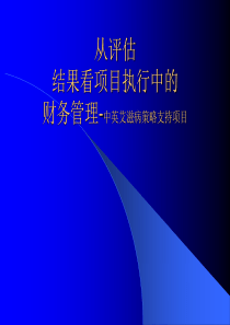 财务管理-中英艾滋病策略支持项目(ppt 14)