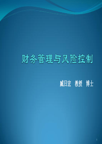 集团公司财务战略与财务管控