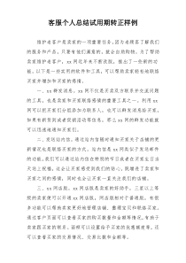 客服个人总结试用期转正样例