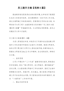 员工提升方案【范例5篇】