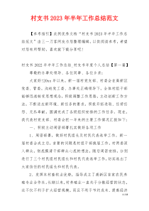 村支书2023年半年工作总结范文