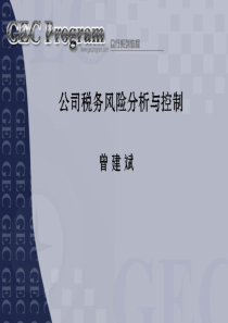公司税务风险分析与控制