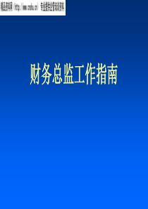 财务总监指南(2)